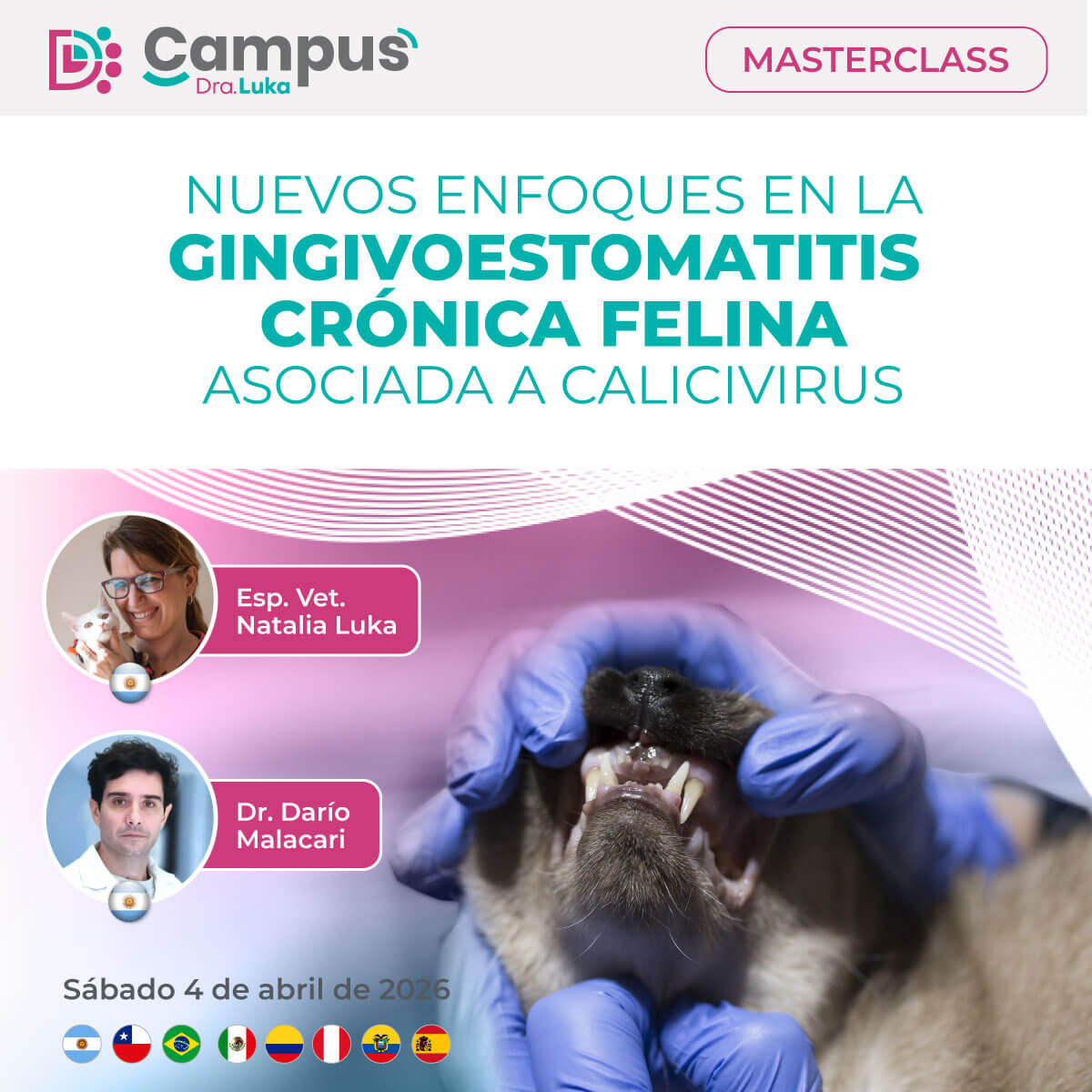Gingivoestomatitis Crónica Felina y Calicivirus