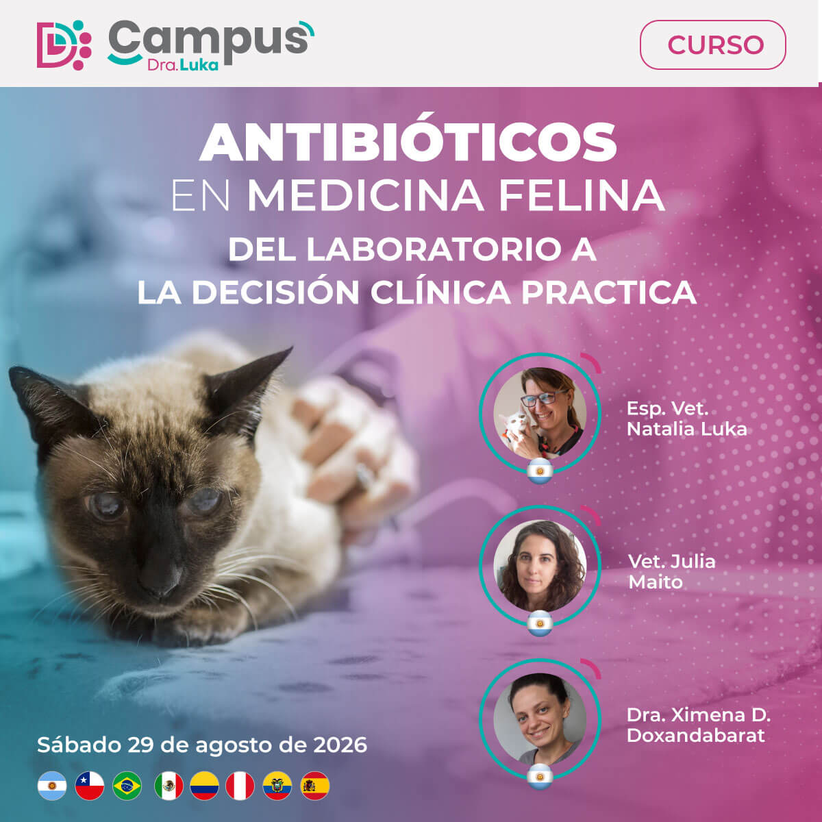 Antibióticos en medicina felina